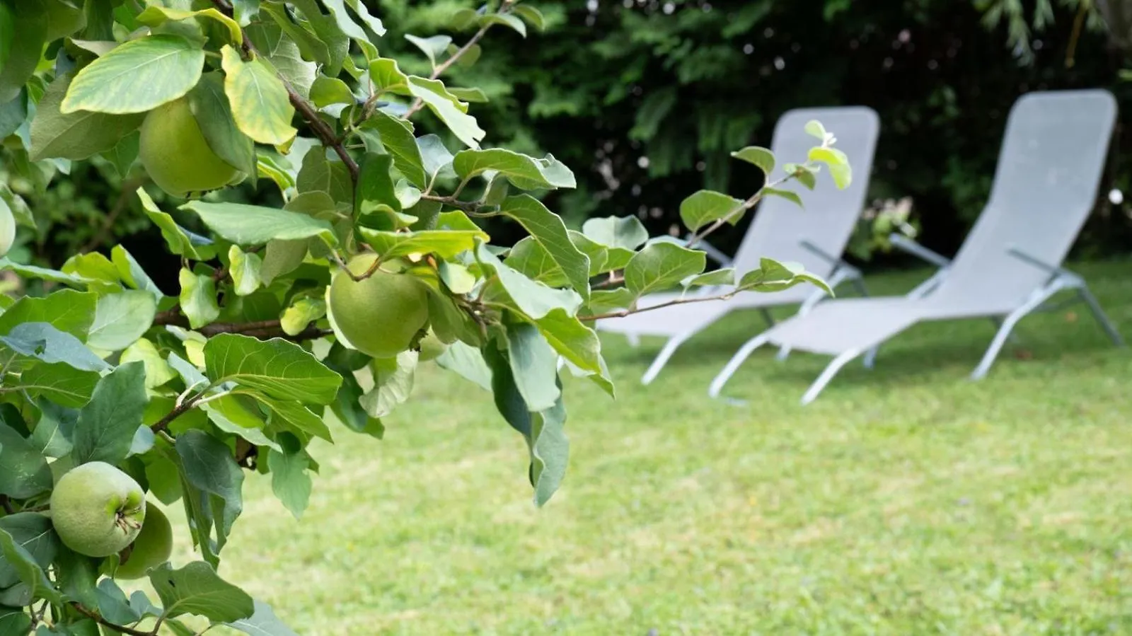 Hotel Villa Rueckert Graz